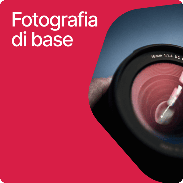 Fotografia base