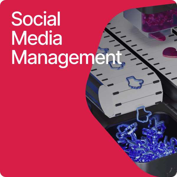 Social Media Management